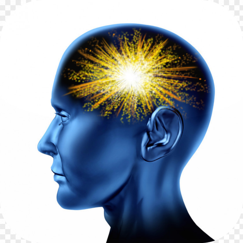 Mind Human Brain Head Homo Sapiens PNG