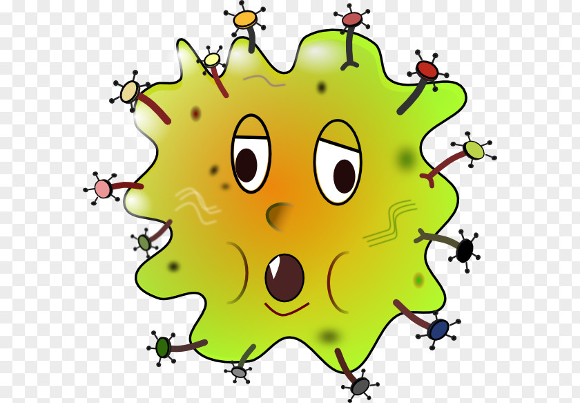 Organism Kidney Disease Infection Clip Art PNG