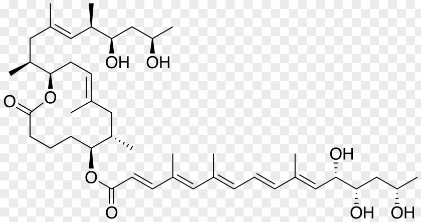 Pathogenic Mycolactone Mycobacterium Ulcerans Athlete's Foot Onychomycosis PNG