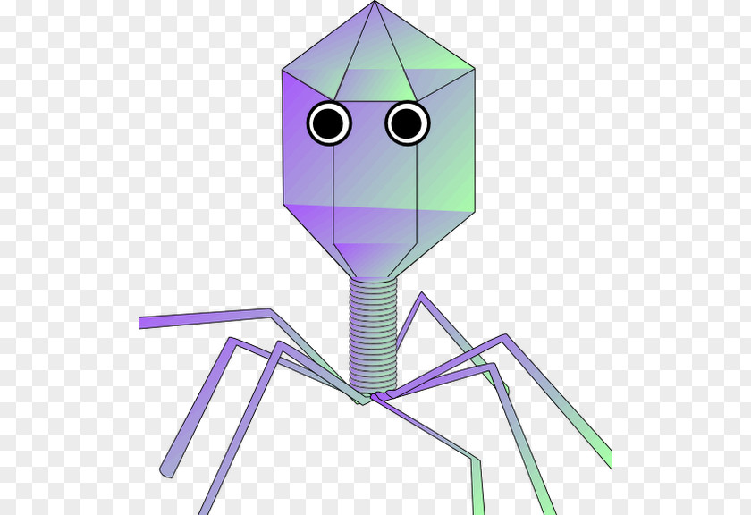 Virus Clip Art PNG