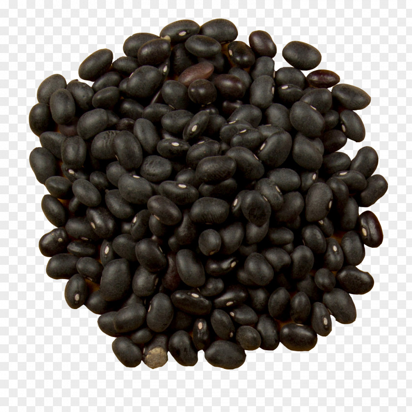 A Pile Of Black Beans Burrito Turtle Bean Food Mrs. Whatsit PNG