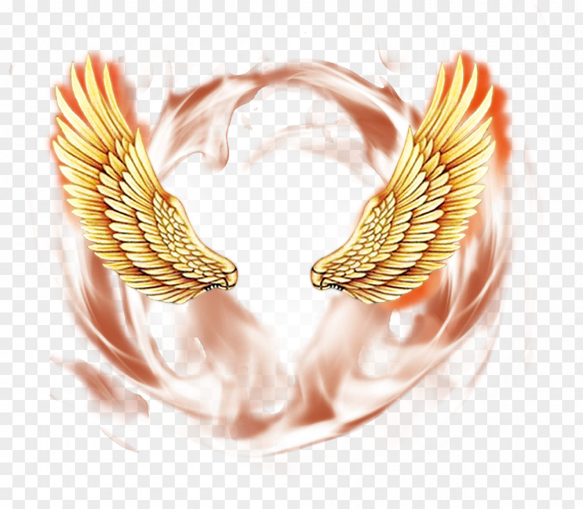Angel Wings Psd Material Picture PNG
