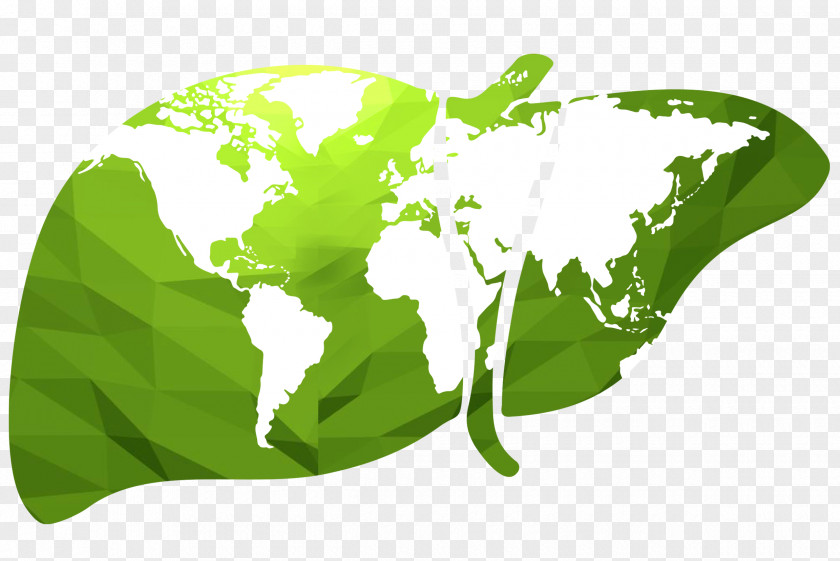 Charterhouse World Map Globe Vector Graphics PNG