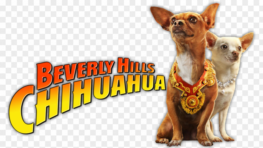 Chihuahua Beverly Hills Film Soundtrack PNG