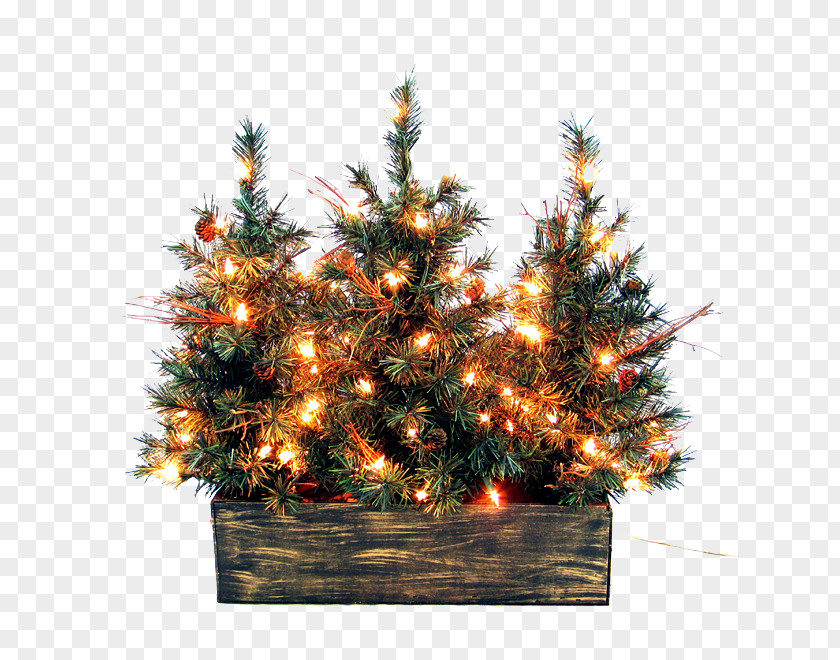 Christmas Outside Picture Tree Decoration Ornament PNG