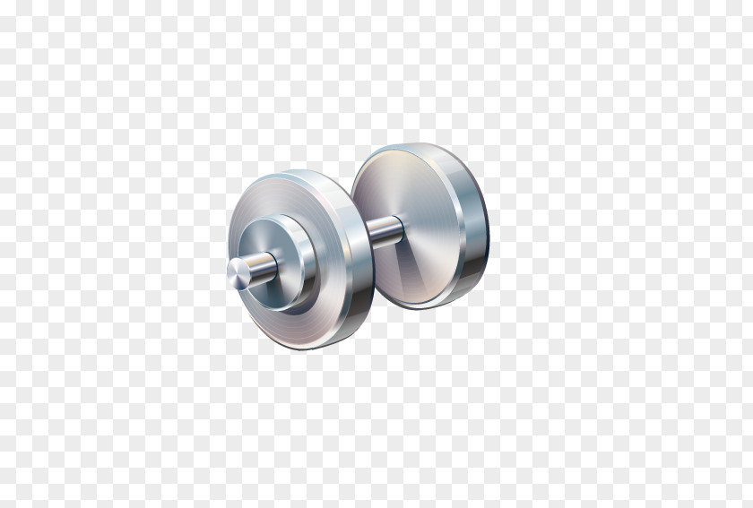 Fitness Barbell Dumbbell Physical Exercise Weight Training PNG