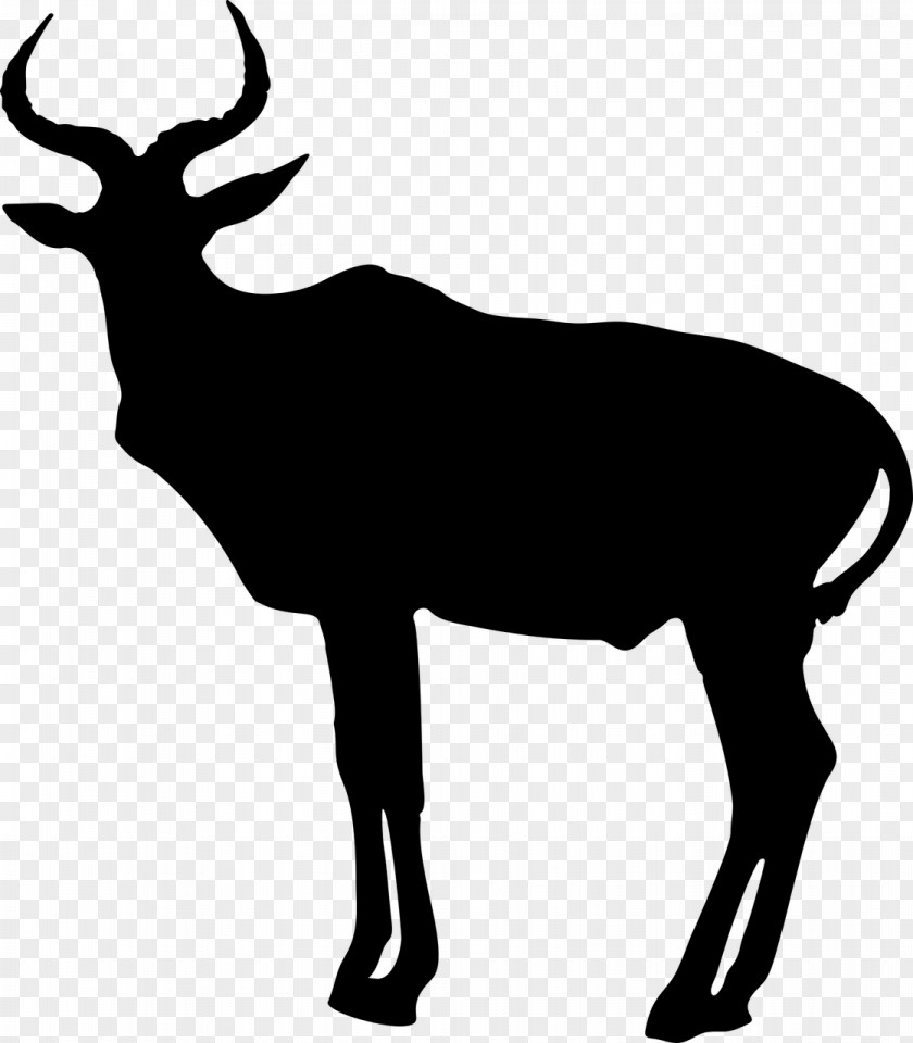 Animal Silhouettes Antelope Pronghorn Silhouette Clip Art PNG