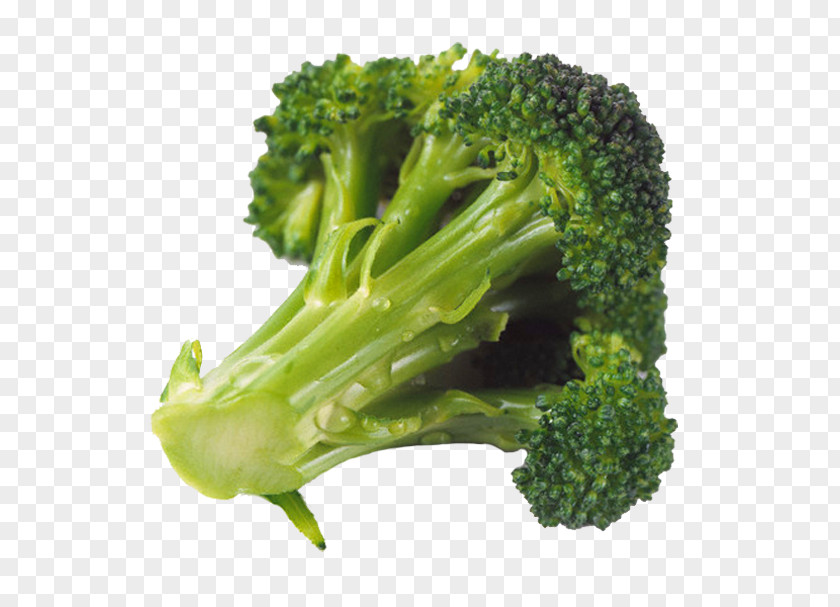 Broccoli Food Eating Nutrition Brussels Sprout PNG