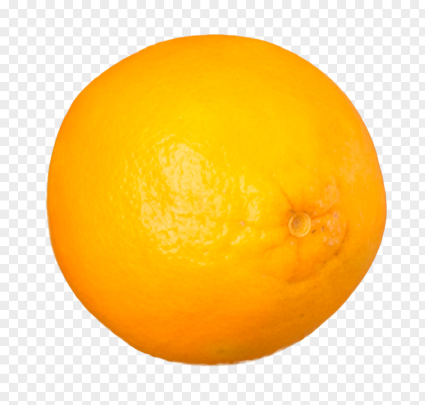 Citrus Citron Lemon Orange Citric Acid PNG