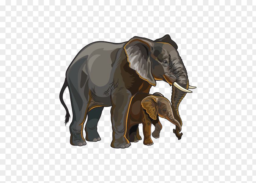 Elephant Asian African Vector Graphics Royalty-free PNG