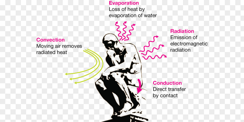 Examples Of Radiation Heat Transfer Thermal Conduction Human Body Energy PNG