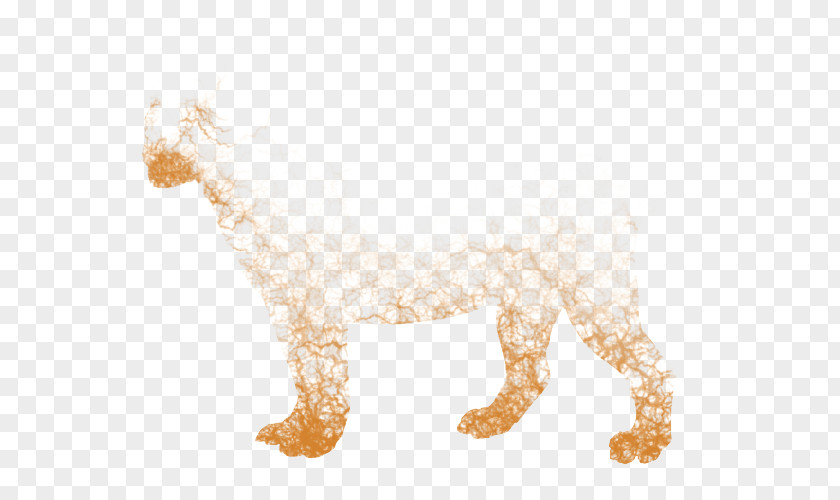 Gold Lion Dog Felidae Cat Leopon PNG