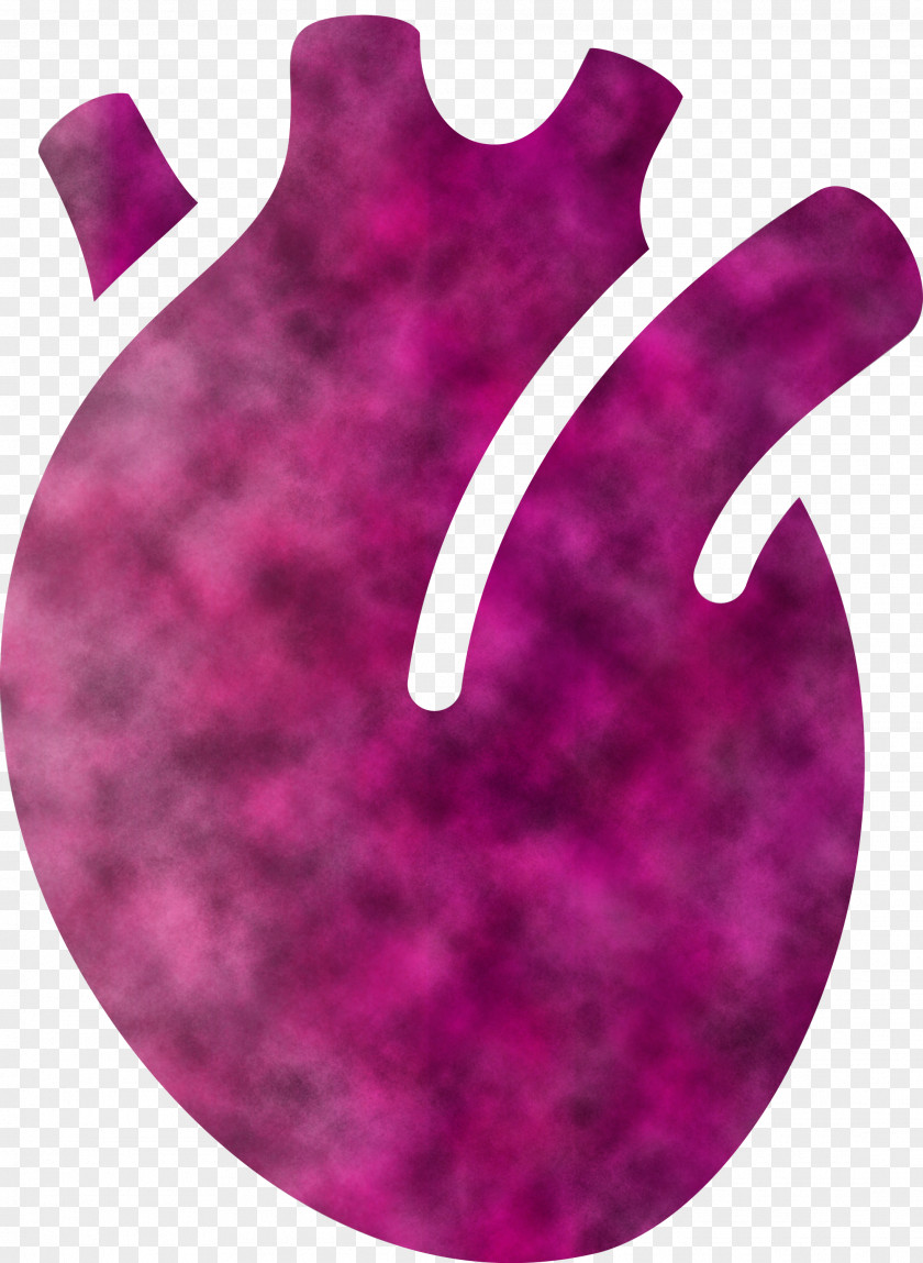 Heart Organ PNG