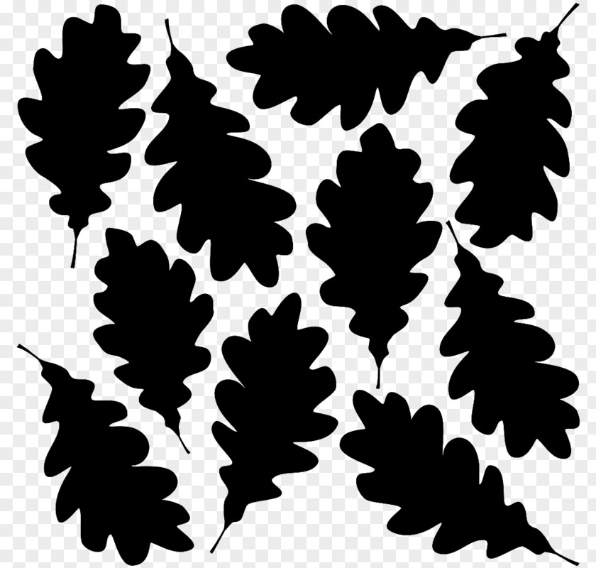 Silhouette Oak Leaf Cluster PNG