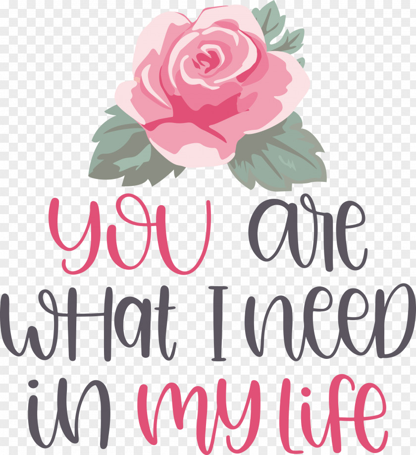 Valentine Valentines Quote PNG