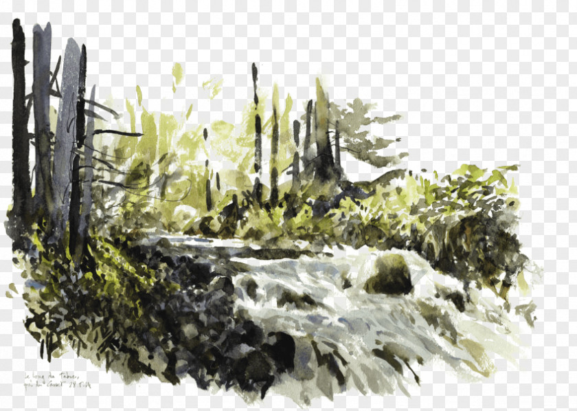 Water Watercolor Painting Torrent River PNG