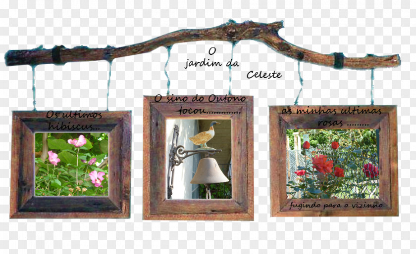 Wood Picture Frames /m/083vt PNG