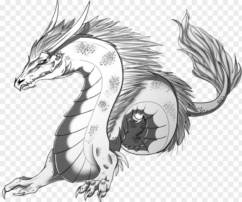 Dragon Drawing Cat Legendary Creature Sketch PNG