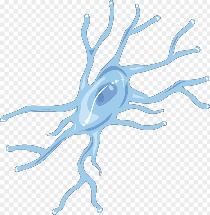 Drug Microglia Brain Neuroglia Cell Remyelination PNG