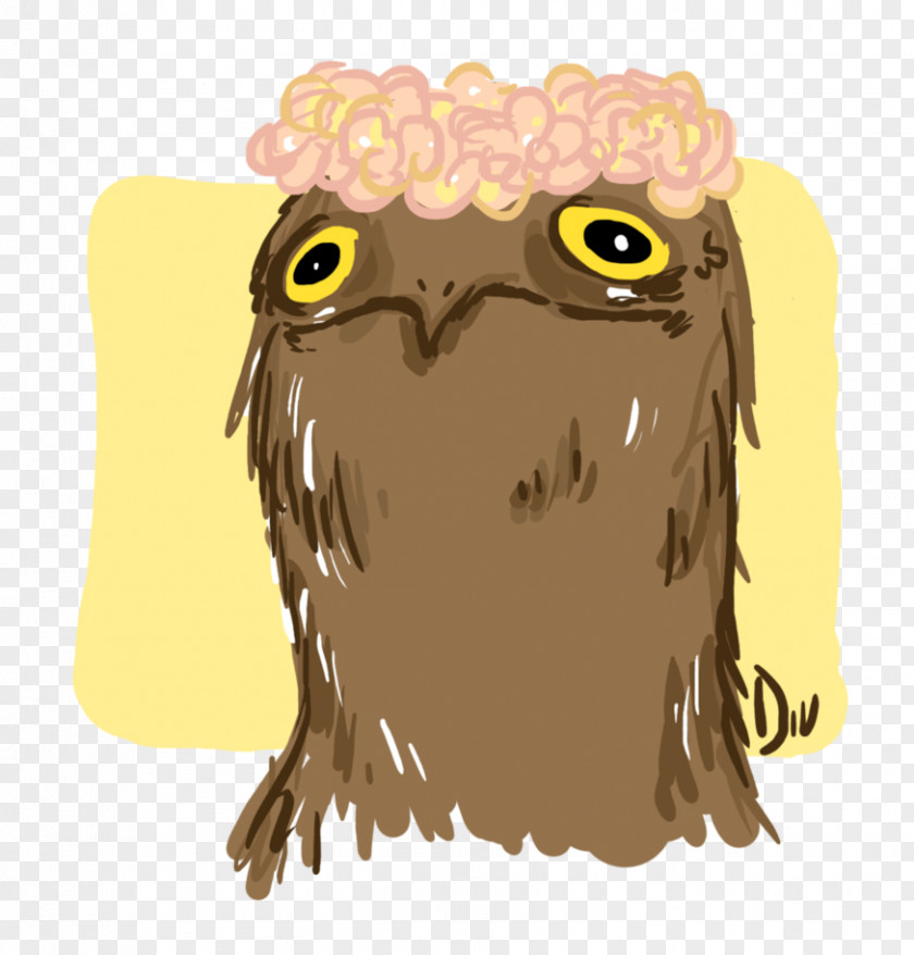 FLOWER BIRD Owl Bird Drawing Common Potoo DeviantArt PNG