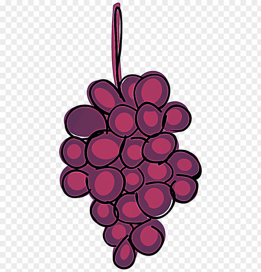 Flower Grapevine Family Pink Magenta Violet Grape Plant PNG