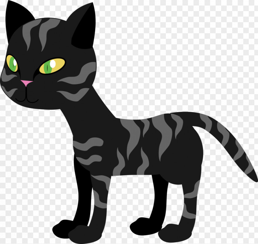 Freehand Cat Kitten Whiskers Mammal Carnivora PNG