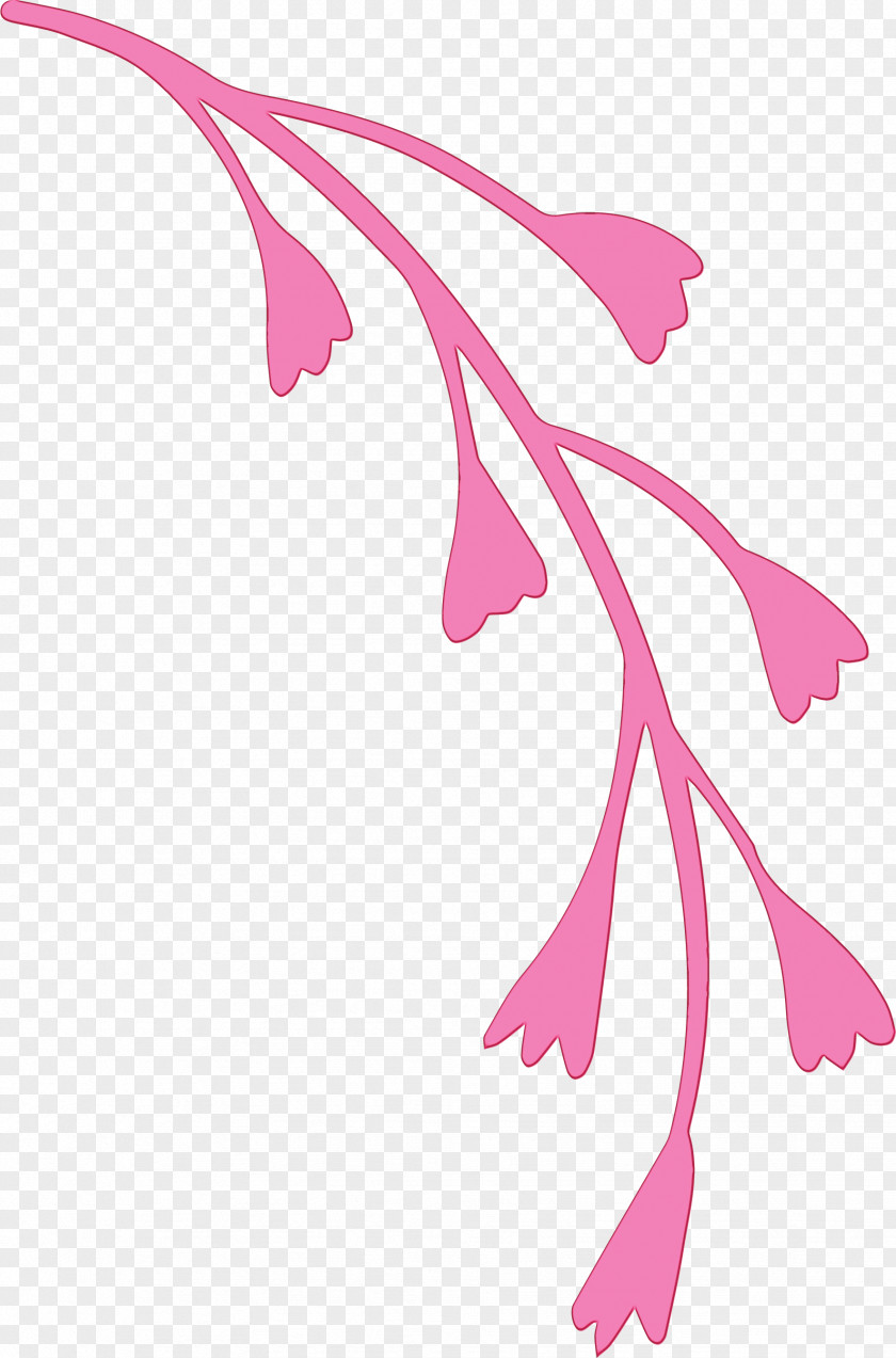Plant Stem Leaf Character Pink M Line PNG