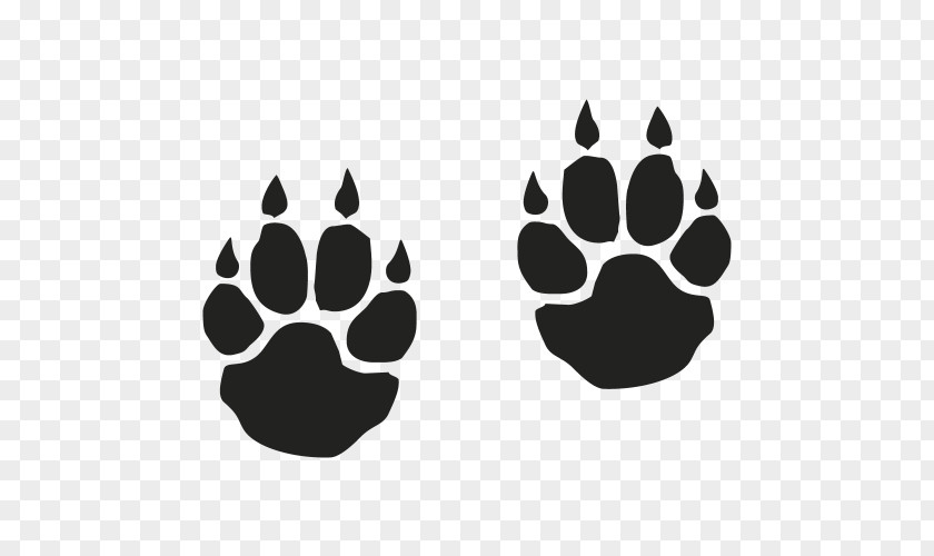 Tiger Dog Footprint Animal Track Cat PNG