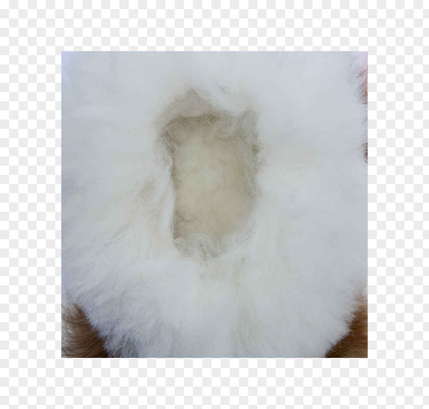 Alpaca Fiber Slipper Wool Sheep Shearing PNG