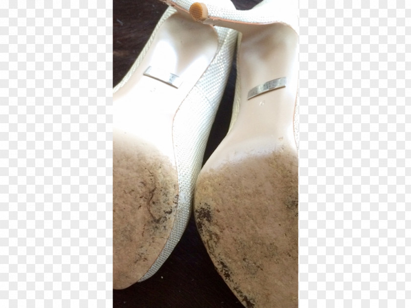 Bridal Shoe Beige PNG
