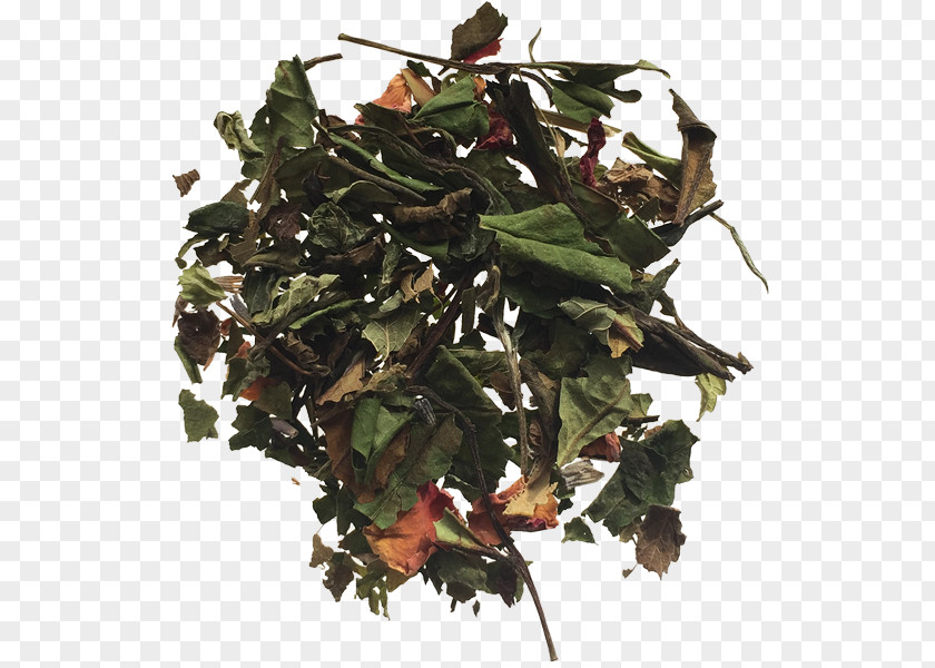 Chinese Herbaceous Peony Tea Oolong Coffee Beer Brewing Grains & Malts Green PNG