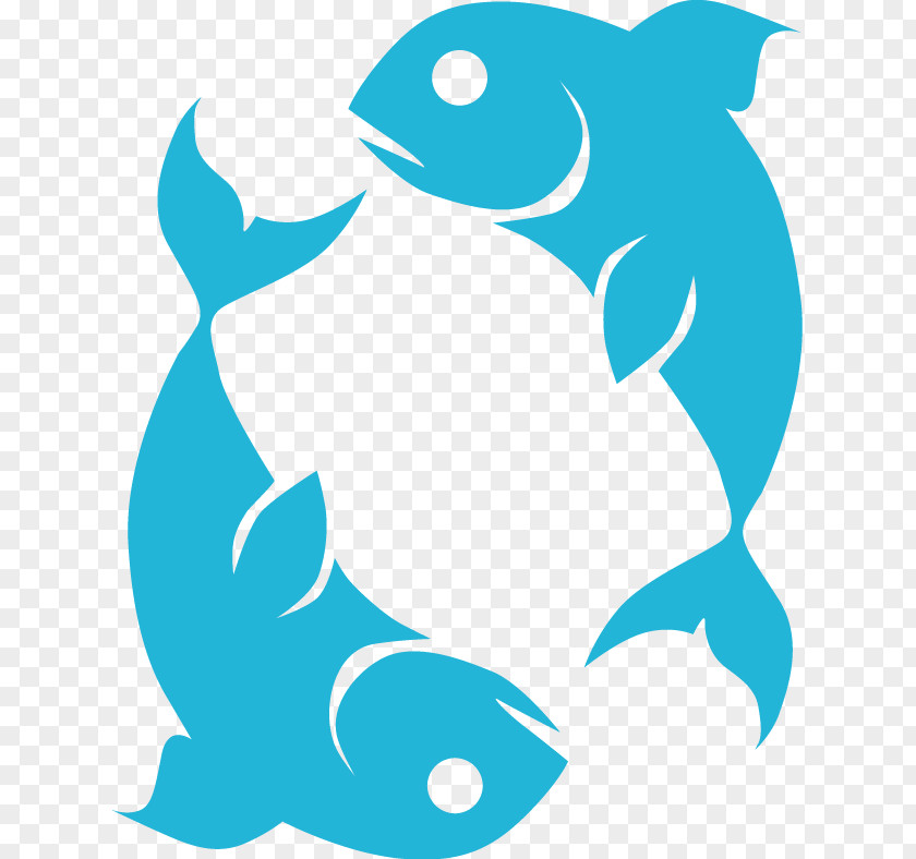 Cute Cartoon Fish PNG