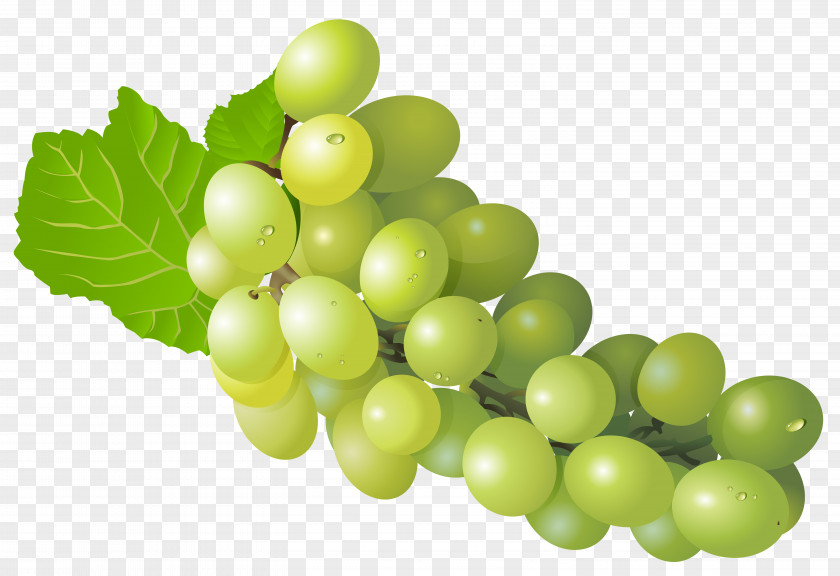 Grape Wine Zante Currant Clip Art PNG