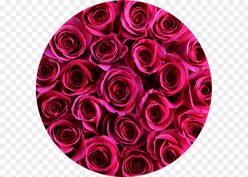 Hot Pink Flowers Garden Roses Floral Design Cut Flower Bouquet PNG