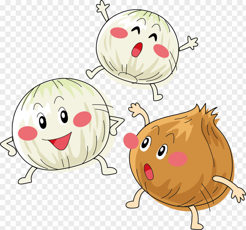 Not The Same Onions Onion Cartoon Clip Art PNG
