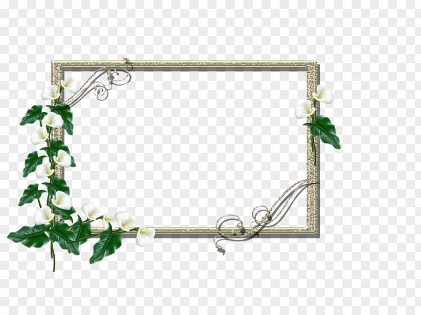 Picture Frames Blog LOFTER Photography PNG