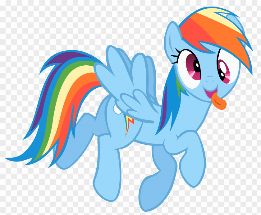 Rainbow Dash My Little Pony Horse Big McIntosh PNG