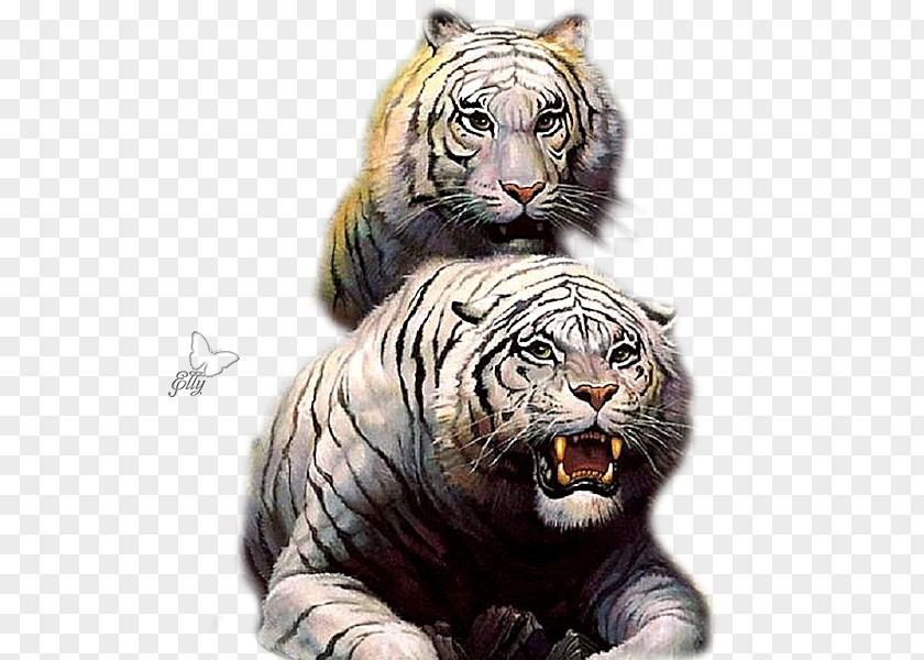 Tiger Conan The Barbarian Savage Valiant PNG