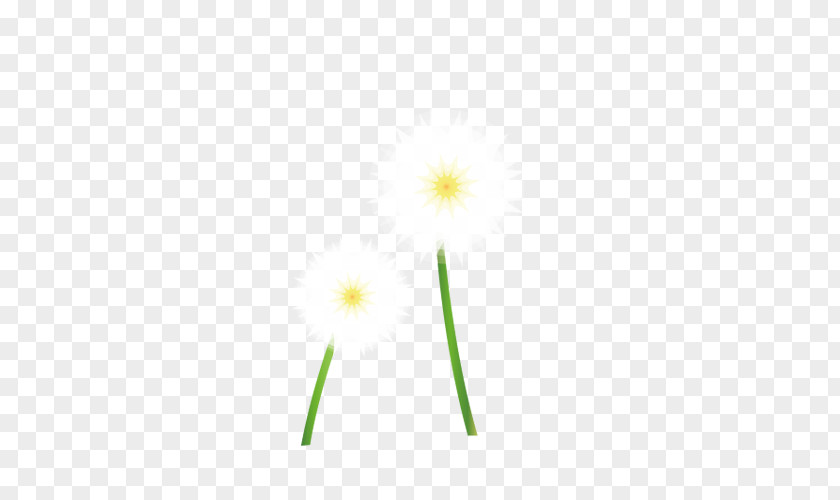 White Dandelion Petal Computer Pattern PNG