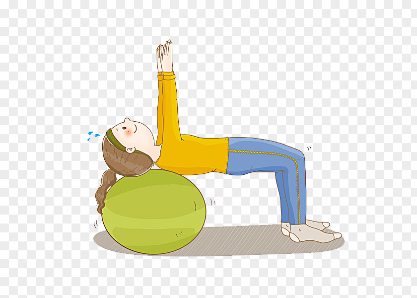 A Woman Who Does Yoga Physical Exercise Cartoon PNG