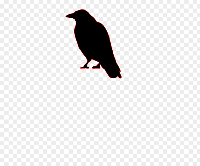 Bird American Crow Common Raven Clip Art PNG