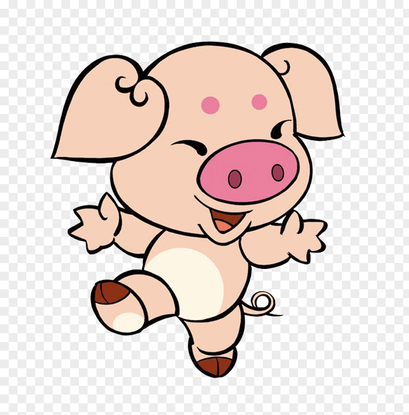 Cartoon Pig Domestic Cochon De Bois Zi Wei Dou Shu Quxfd Hu1ee3i PNG