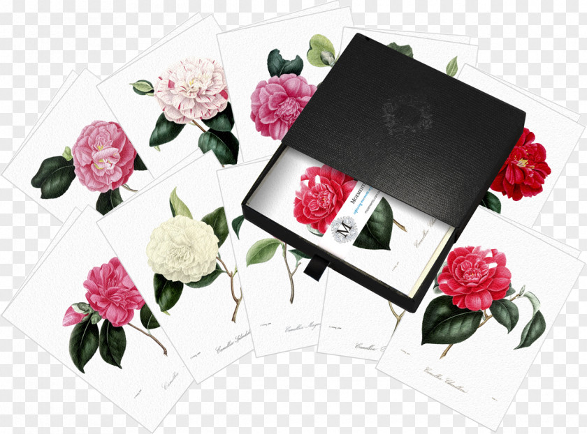 Exquisite Gift Box Garden Roses Chakra Noir Floral Design Cut Flowers PNG