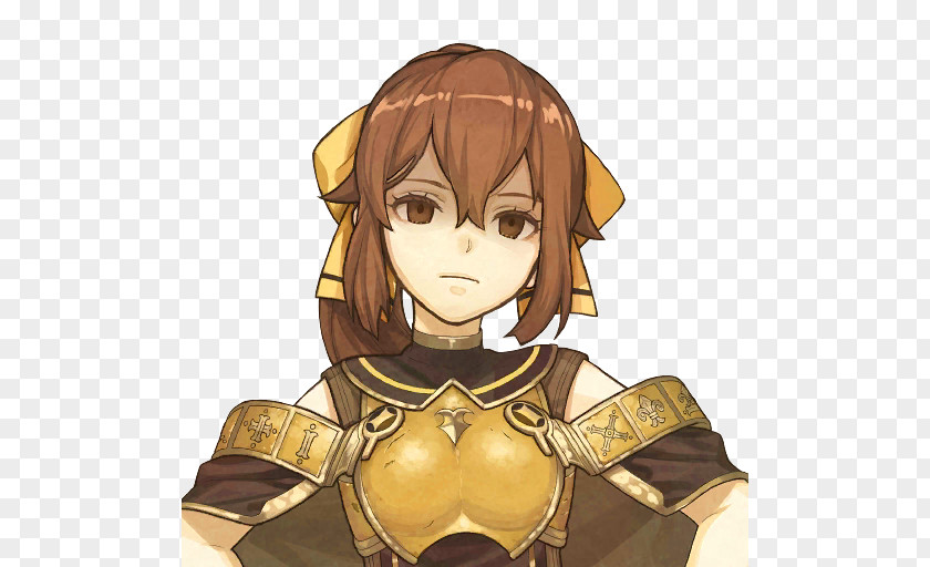 Fire Emblem Echoes: Shadows Of Valentia Awakening Gaiden Heroes Warriors PNG