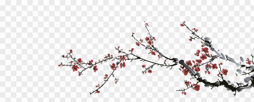 Japan Cherry Blossom Drawing PNG