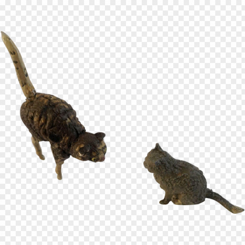 Kitten Persian Cat Tiger Figurine Tail PNG