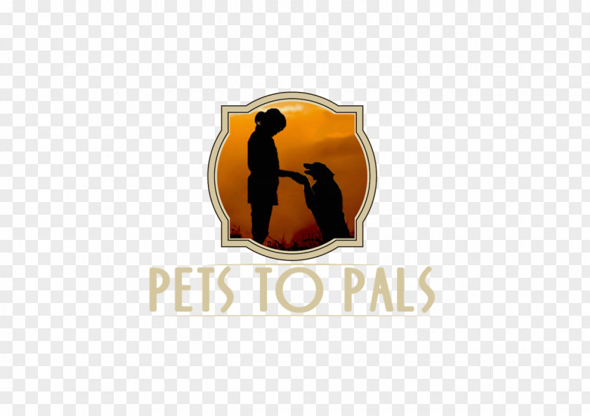 Puppy Dog Pals Pets To Cat & Training PNG