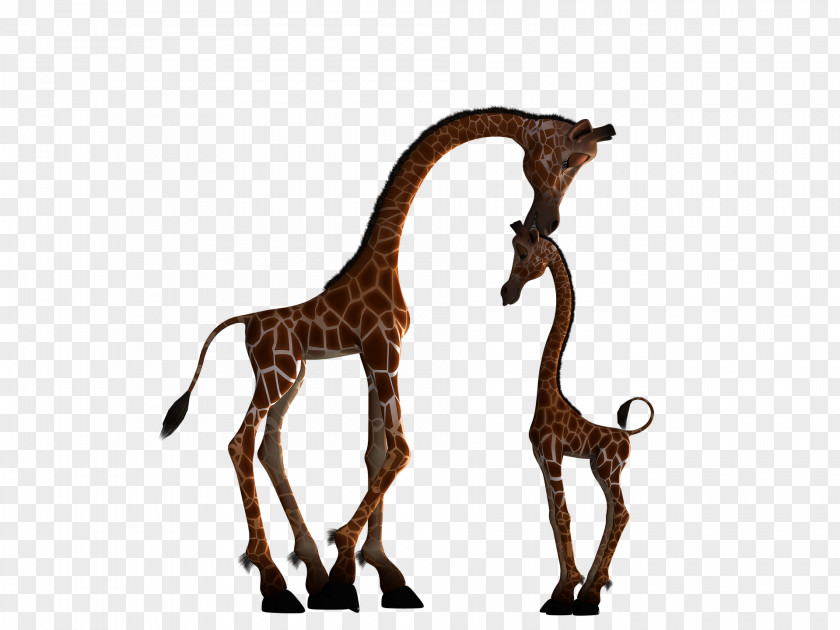 Size Giraffe Silhouette Clip Art PNG