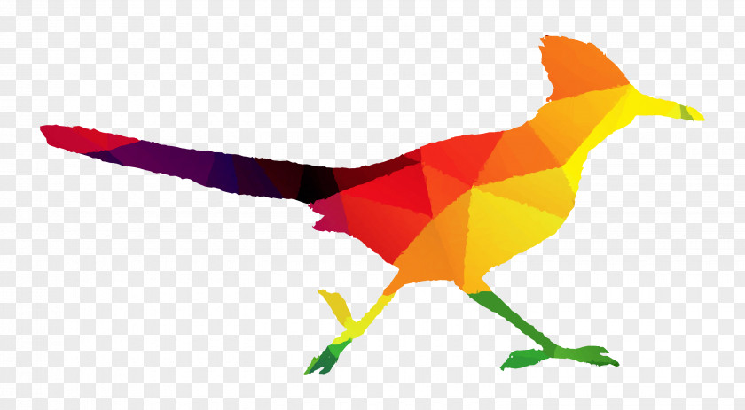 Beak Clip Art Fauna Line PNG