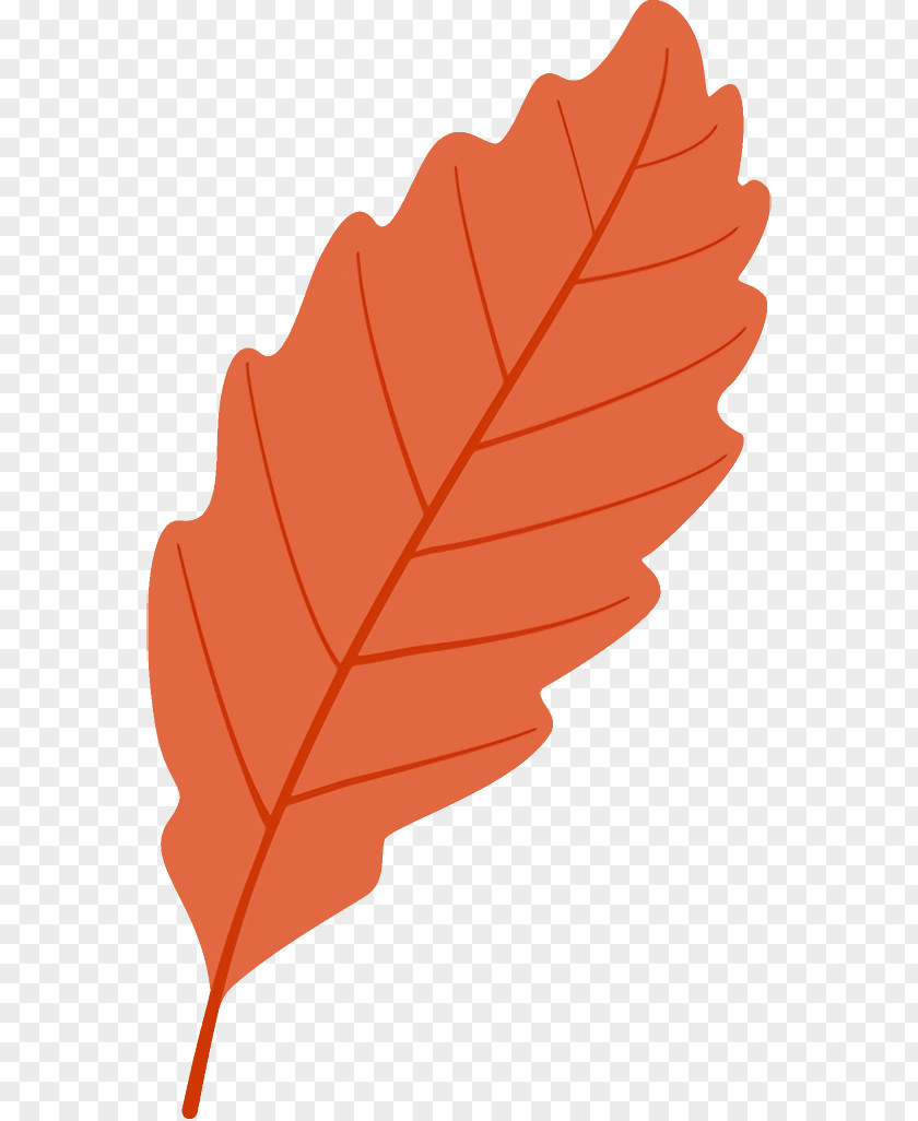 Flower Deciduous Autumn Leaf Fallen Dead PNG